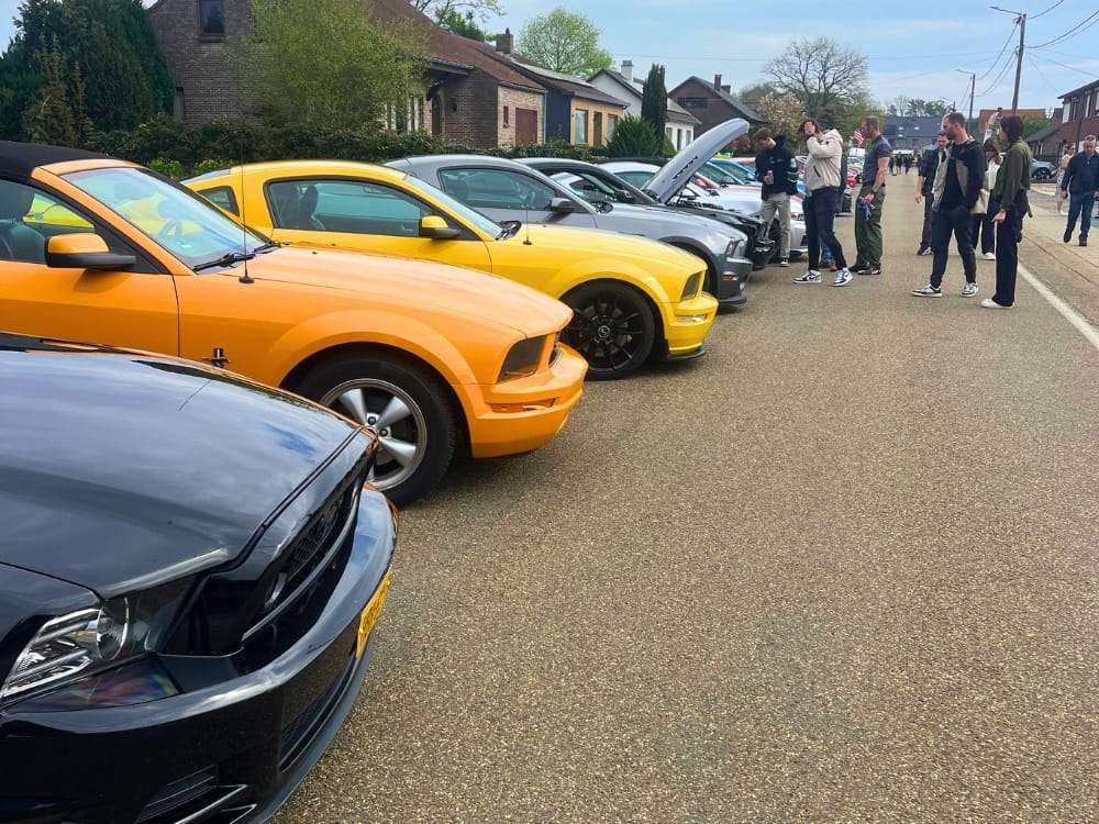 Lineup of muscle cars